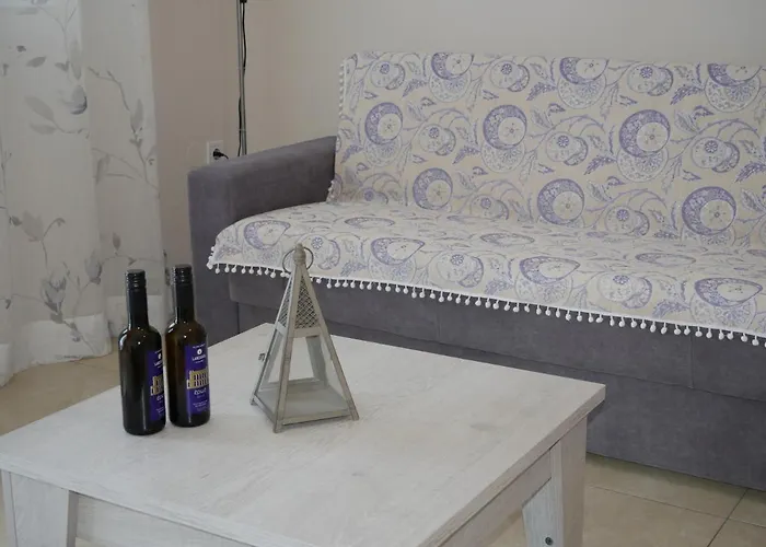 Lejlighed Roza's Family House